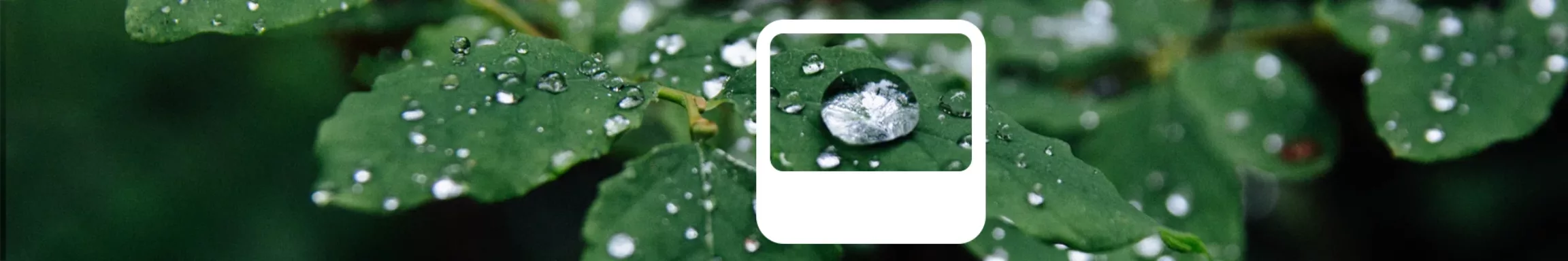 newater-oferta-desktop