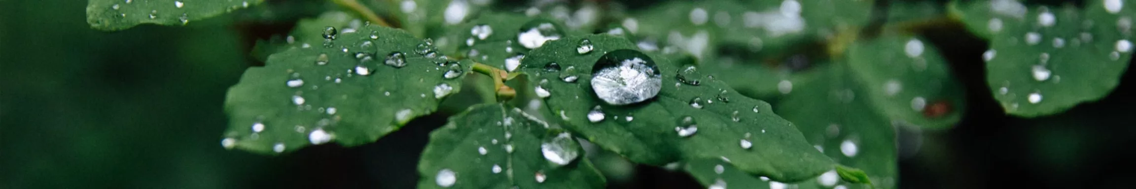 newater-wiedza-desktop